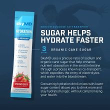 SkyMD Daily Hydration Tropical Blend - 4