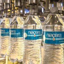 Niagara Purified Water, 16.9-oz Bottle, Bulk - 4