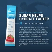 SkyMD Daily Hydration Berry Blast - 4