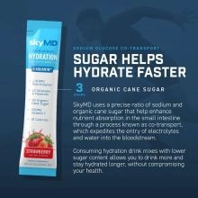 SkyMD Daily Hydration Tropical Blend - 4