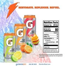 Gatorade Fruit Punch Thirst Quencher Sports Drink Cans - 2
