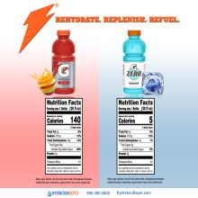 Gatorade 20 oz Wide Mouth Bottles - 1