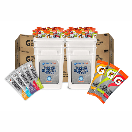 Gatorade & Zero Individual Powder Sticks Bundle - 2976 Sticks for 50 Employees
