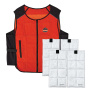 Chill-Its 6260 Lightweight Phase Change Cooling Vest w/Rechargeable Packs