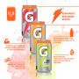 Gatorade Thirst Quencher Sports Drink Cans - 100 Case Mix and Match Pallet Bundle - 4