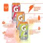 Gatorade Fruit Punch Thirst Quencher Sports Drink Cans - 100 Case Pallet - 1