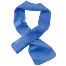 Chill-Its 6603 Evaporative Cooling Band