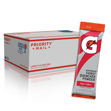 Gatorade Fruit Punch Military Powder Packets - Military Gatorade Sticks (Pack of 80)