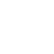 Icon - 1
